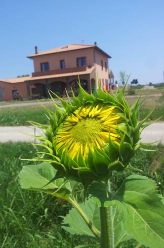 Venturina Terme Codice promozionale Booking.com Italia