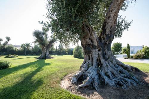 Latiano Italie code promo booking.com