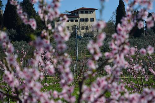 Rignano Sull'arno Italie code promo booking.com