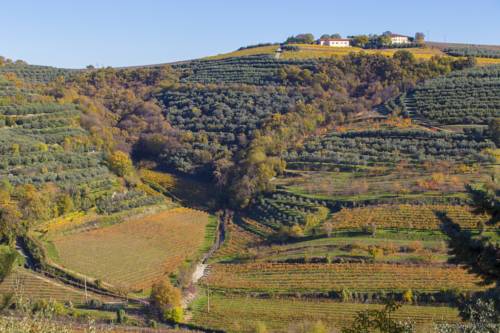 Mezzane di Sotto Verona Italia codigo de promocion Booking.com