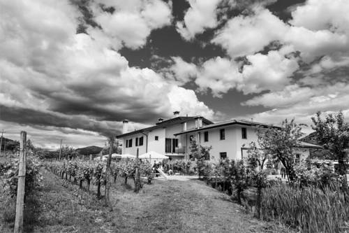 Prepotto Codice promozionale Booking.com Italia