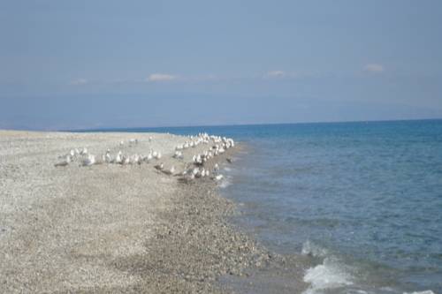 Guardavalle Italie code promo booking.com