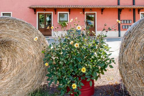 Guidonia Montecelio Italia codigo de promocion Booking.com