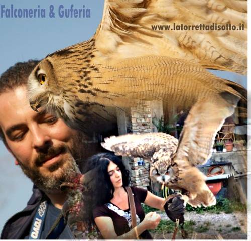 Santa Maria della Versa Italie code promo booking.com