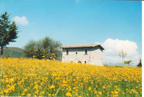 Forlì Del Sannio Aktionscode Italien Booking.com
