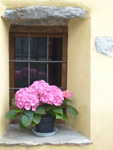 Quart Italien Hotel Promo-Code booking.com