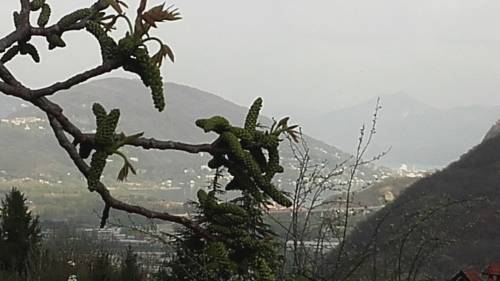 Casale Corte Cerro Aktionscode Italien Booking.com