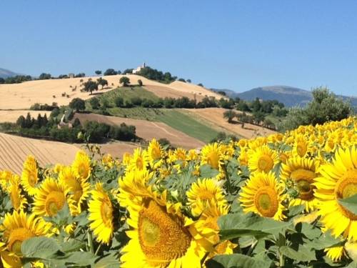 Tolentino Aktionscode Italien Booking.com