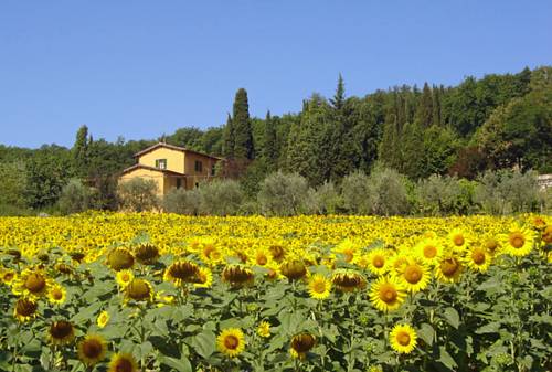 Molino del Piano Aktionscode Italien Booking.com