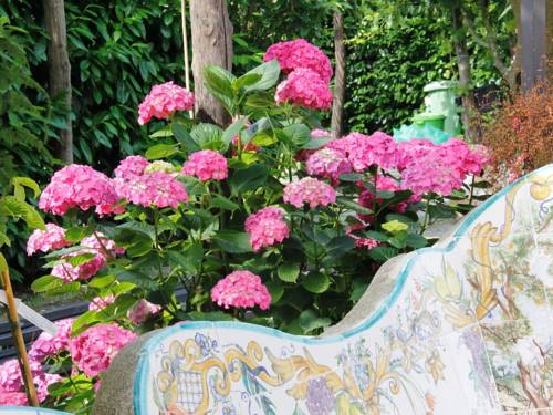 Sant'Agnello Neapel Aktionscode Italien Booking.com