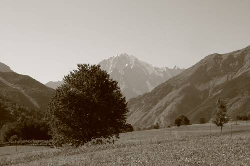 der Raum Aktionscode Italien Booking.com