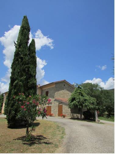 Cortona Codice promozionale Booking.com Italia