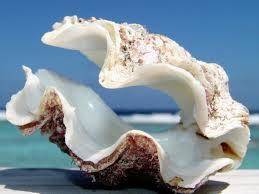 Marsala Italie code promo booking.com