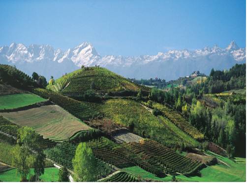 Fraz. Roreto di Cherasco Italie code promo booking.com