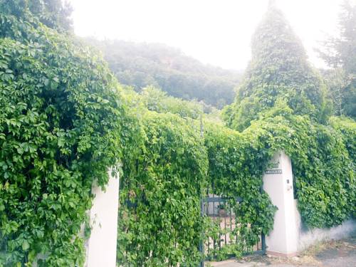 Savoca Italie code promo booking.com