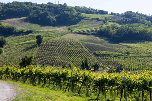 Montecalvo Versiggia Codice promozionale Booking.com Italia