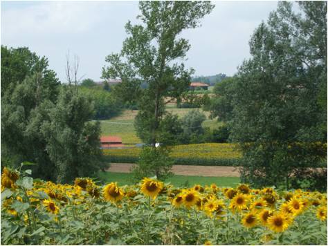 Castelletto Merli Italie code promo booking.com