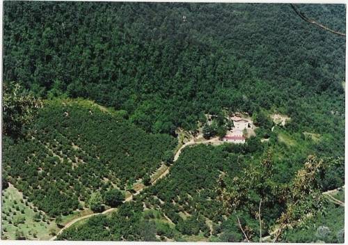 Belmonte In Sabina Aktionscode Italien Booking.com