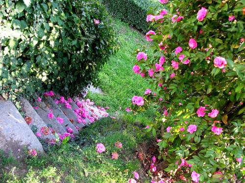 Biella Aktionscode Italien Booking.com