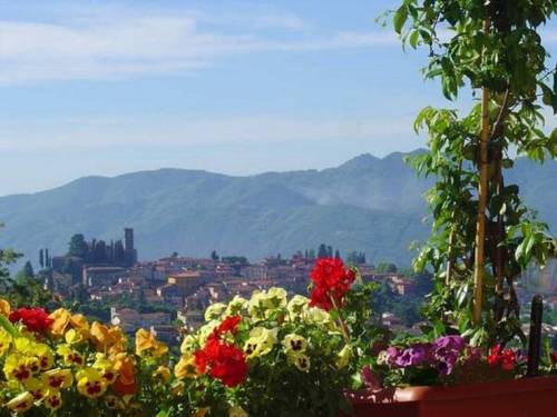 Barga Codice promozionale Booking.com Italia