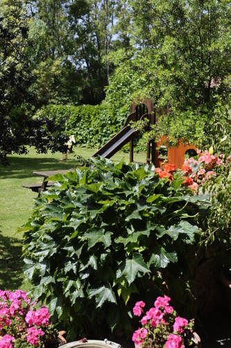 Fertilia Italy Promo Code Booking.com