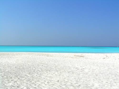 Castiglioncello Codice promozionale Booking.com Italia