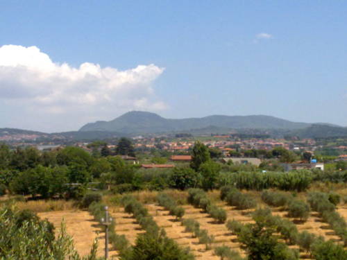Cecchina Italien Hotel Promo-Code booking.com