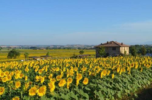 Panicale Italia codigo de promocion Booking.com