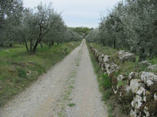 Levane Aktionscode Italien Booking.com